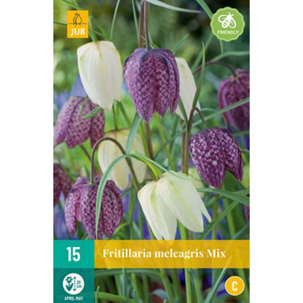 Image de 15 fritillaria meleagris micalibre : 6/7