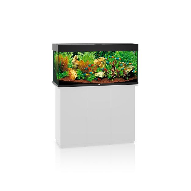 Image de Aquarium RIO 180 LED (2x led 895mm) GRIS  JUWEL