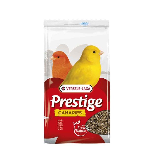 Image de Prestige Canaris 4kg