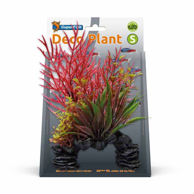 Image de SUPERFISH DECO PLANT S LUDWIGIA