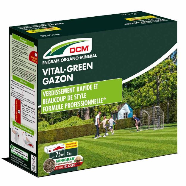 Image de DCM VITAL-GREEN GAZON 3KG