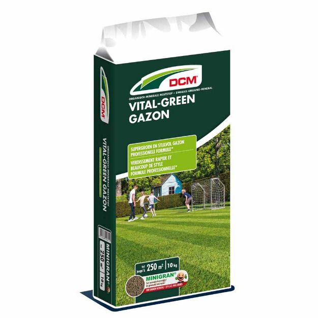 Image de DCM VITAL-GREEN GAZON 10KG