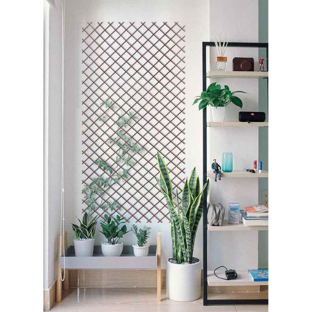 Image de Trellis extensible bambou Naturel  0,5x1,5m