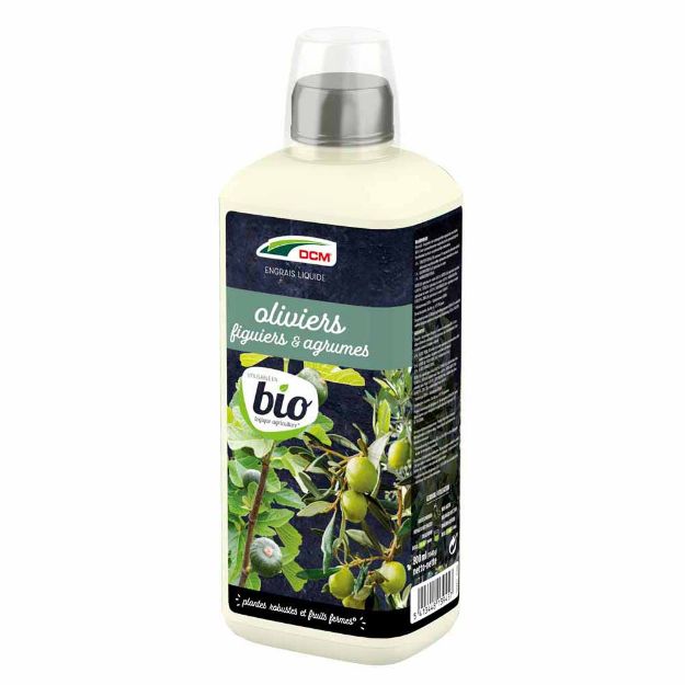 Image de DCM LIQ OLIV/FIG/AGRUM BIO 0,8L