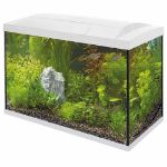 Image de SUPERFISH START 100 TROPICAL KIT BLANC