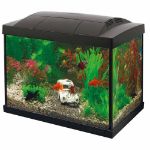 Image de SUPERFISH START 20 GOLDFISH KIT NOIR