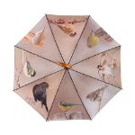 Image de Parapluie oiseaux d'automne