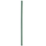 Image de Tuteur droit acier plastifié vert  - H180 cm x Ø16 mm