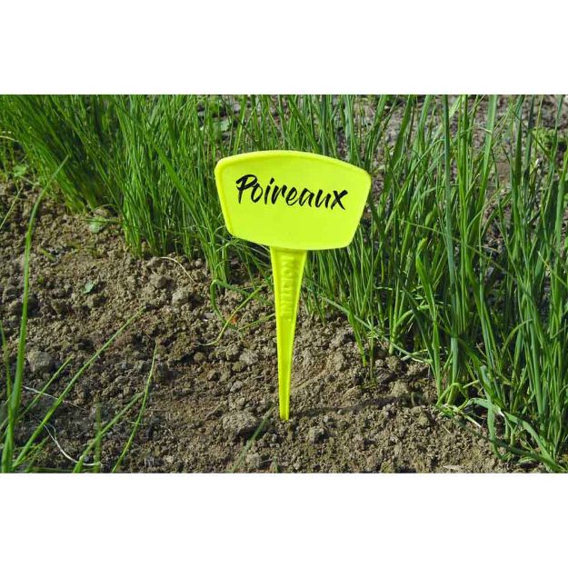 Image de LABEL 25CM 5 ETIQUETTES JAUNE