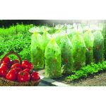 Image de TOMATOTUBE-Housse tomates LDPE 50 microns- 0,60x10m