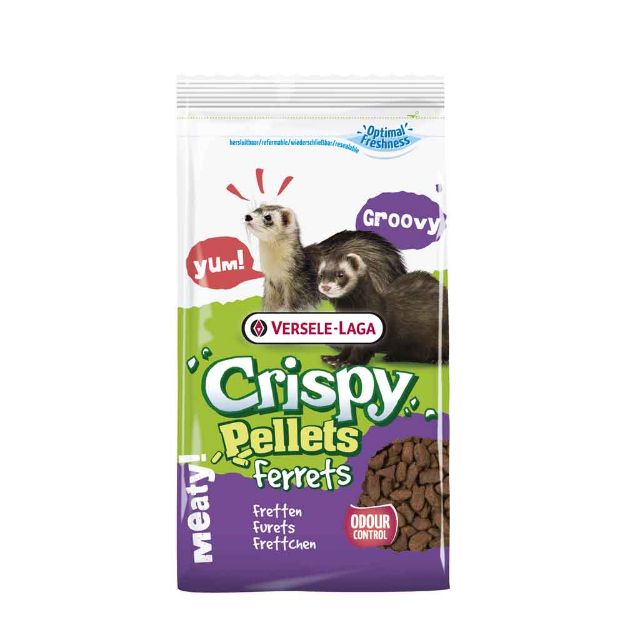 Image de Crispy Pellets - Ferrets 700g