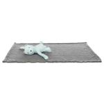 Image de Junior set douillet, couverture/ours, en peluche