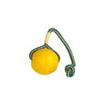 Image de Starmark Swing n Fling Fetch Ball 8x6x28cm M