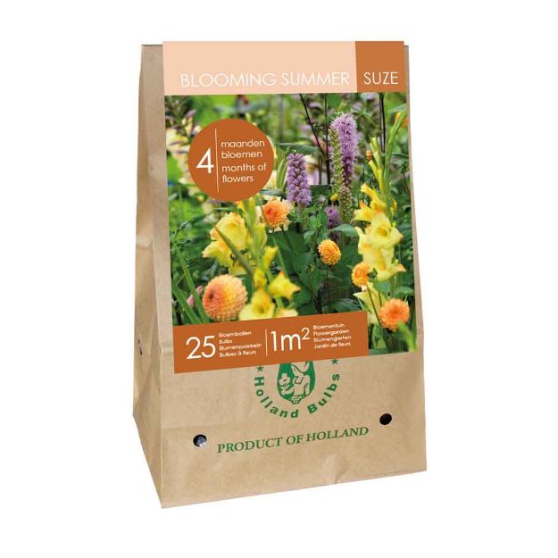 Image de 1 sac de bulbes de fleurs blooming summer - suze