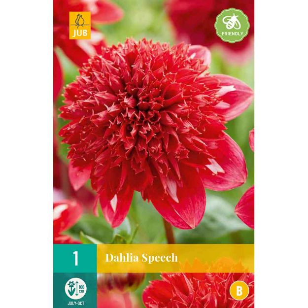 Image de 1 dahlia speech i