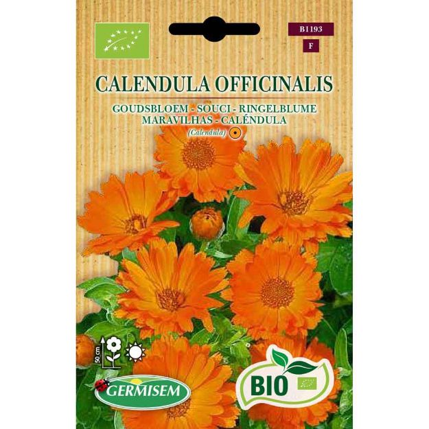 Image de Graines bio de calendula (souci) varié