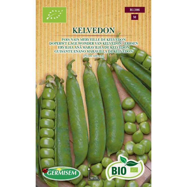 Image de Graines bio de pois nain merveille de kelvedon