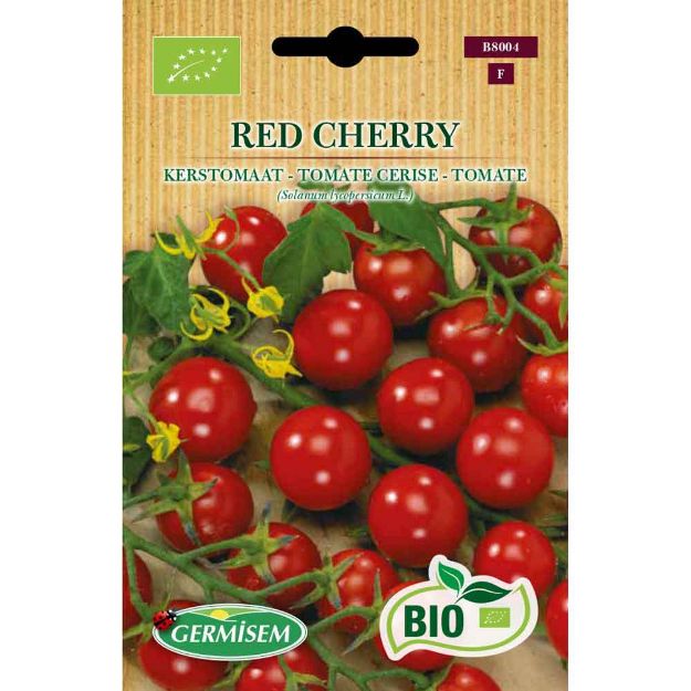 Image de Graines bio de tomate cerise red cherry