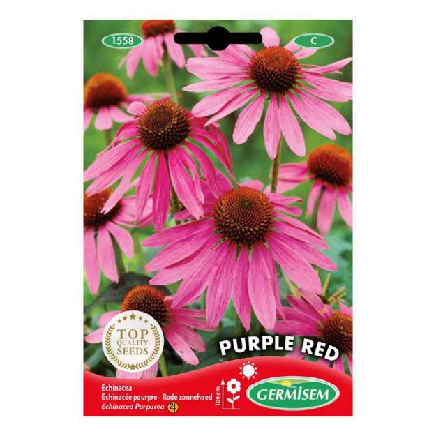 Image de Graines d'echinacea purpurea purple red