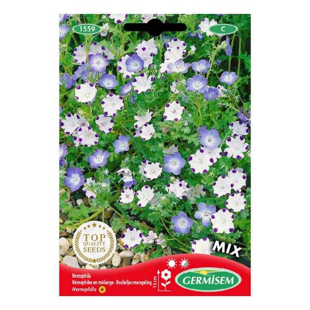 Image de Graines de nemophila mixes