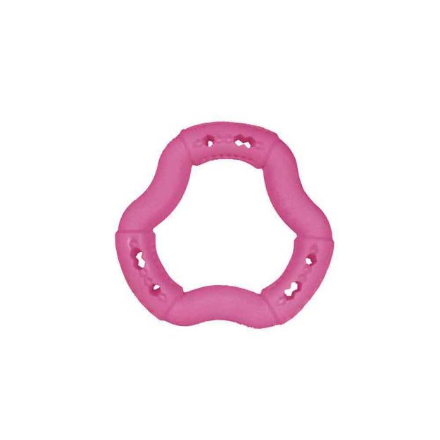 Image de Jouet chien TPR anneau Red Frutti 12cm