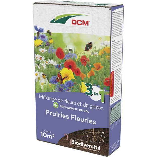 Image de DCM PRAIRIES FLEURIES 510G/10M2