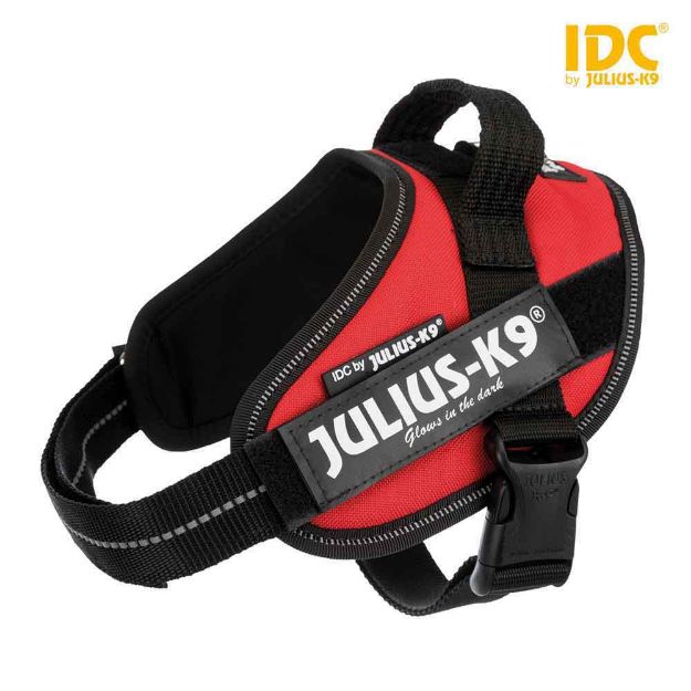 Image de Julius-K9® harnais Power IDC®