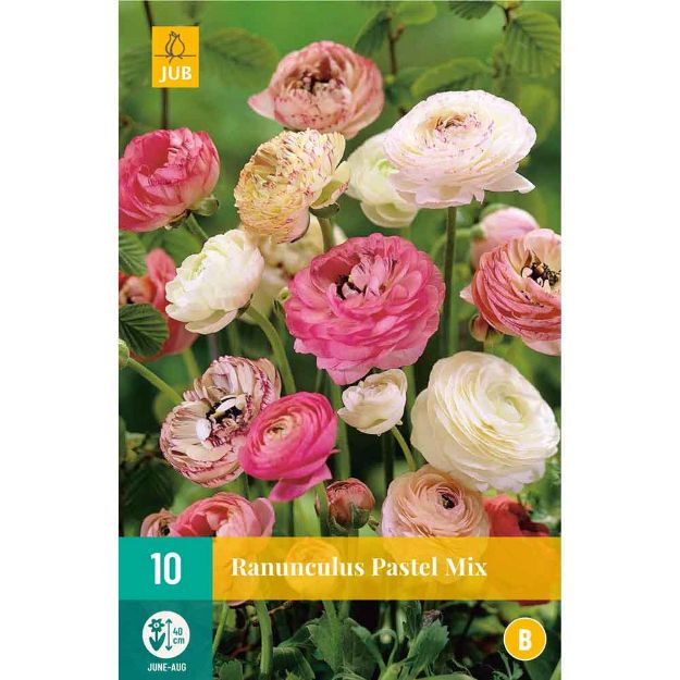 Image de 10 bulbes de fleurs de ranunculus pastel mix