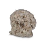 Image de Nid douillet hamster coton naturel 50g