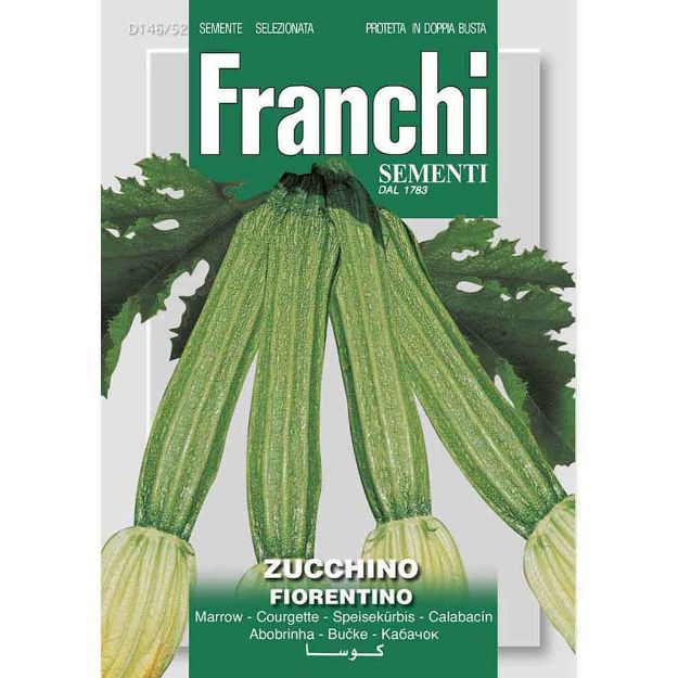 Image de Graines courgette zucchino lungo fiorentino - Franchi