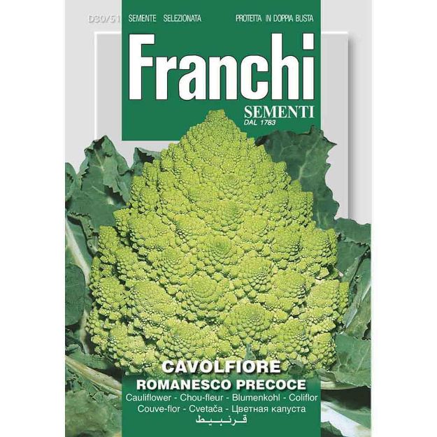 Image de Graines chou fleur cavolfiore romanesco precoce - Franchi