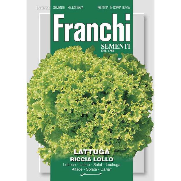 Image de Graines laitue lattuga lollo bionda - Franchi