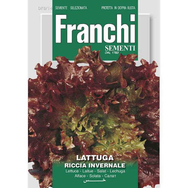 Image de Graines laitue lattuga riccia invernale - Franchi