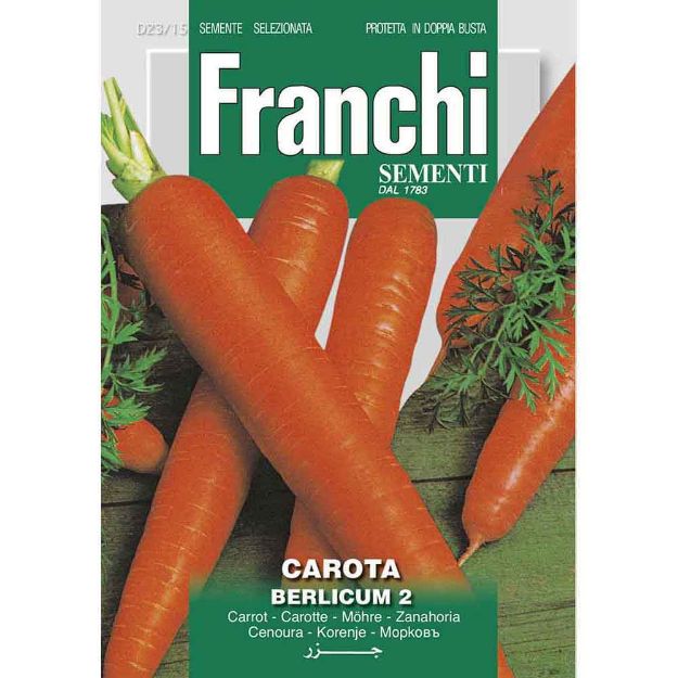 Image de Graines carotte berlicum- Franchi