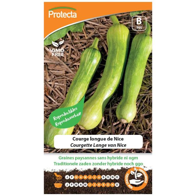 Image de Graines de courge longue de nice - Protecta