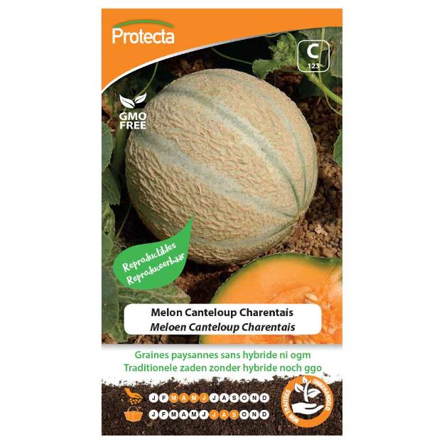 Image de Graines de melon canteloup charentais - Protecta