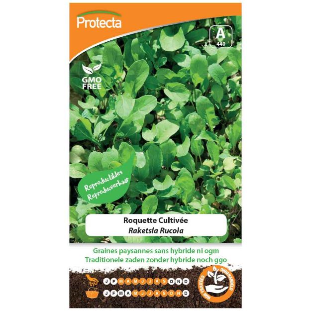 Image de Graines de roquette cultivée - Protecta