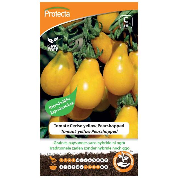 Image de Graines de tomate cerise yellow pearshapped - Protecta