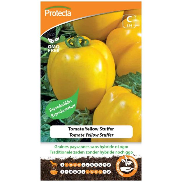 Image de Graines de tomate yellow stuffer - Protecta