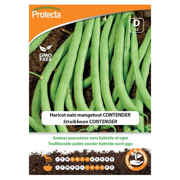 Image de Graines d'haricot nain mangetout contender - Protecta