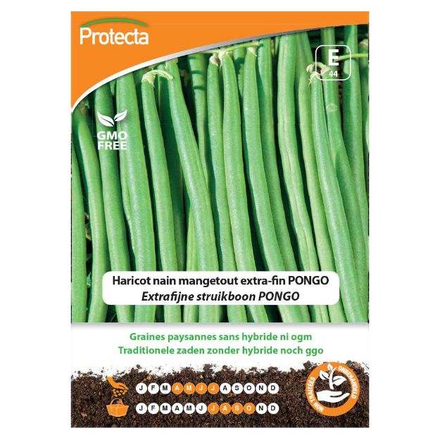 Image de Graines d'haricot nain mangetout extra-fin pongo - Protecta