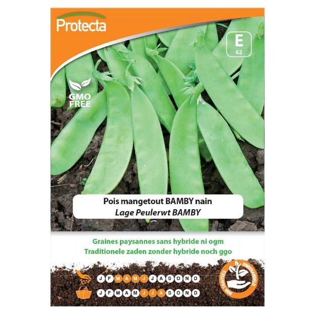 Image de Graines de pois mangetout bamby nain - Protecta