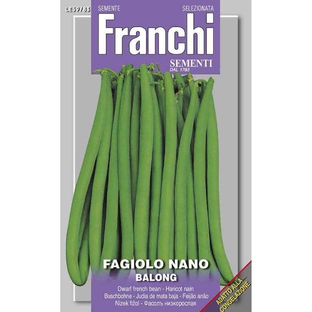 Image de Graines haricot nain balong - Franchi