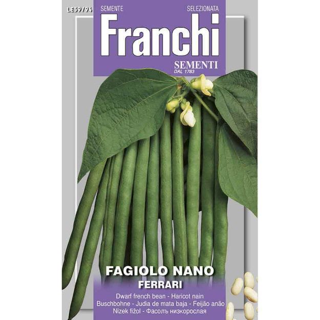 Image de Graines haricot nain ferrari - Franchi