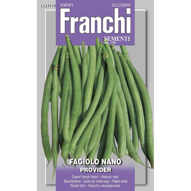 Image de Graines haricot nain provider - Franchi