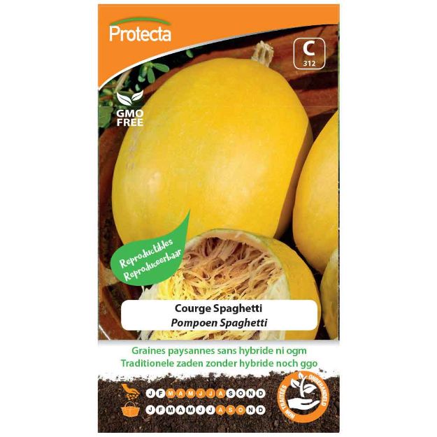 Image de Graines de courge spaghetti - Protecta