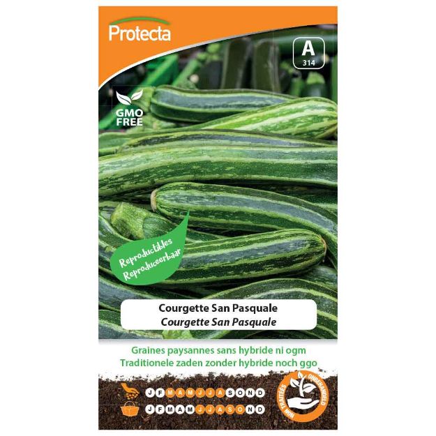 Image de Graines de courgette san pasquale - Protecta