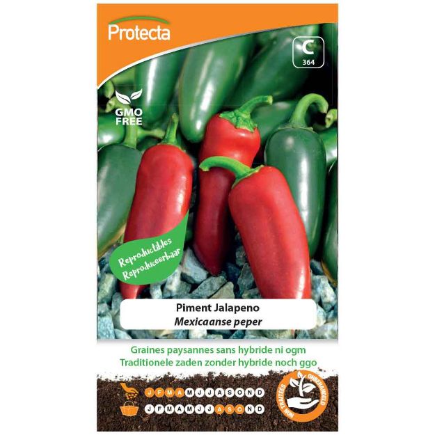 Image de Graines de piment jalapeno - Protecta