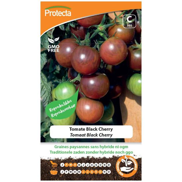 Image de Graines de tomate black cherry - Protecta