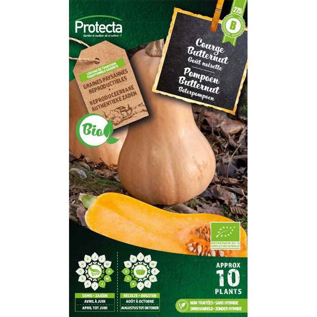 Image de Graines courge musquée butternut fr-bio-15